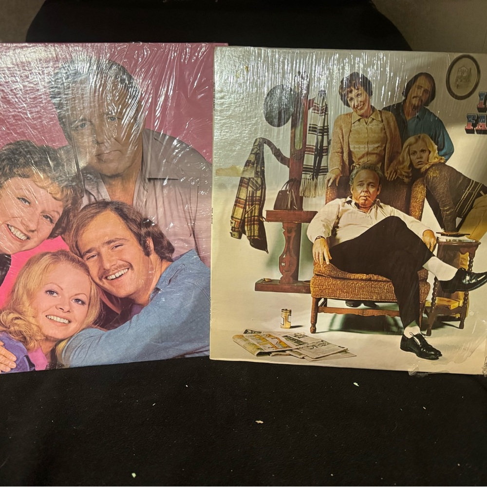 Rob Reiner plays Mike Stivic - Vintage All in the Family Vinyl Record Lot